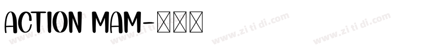 action mam字体转换
